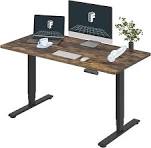 FLEXISPOT E6 Dual Motor Standing Desk Frame